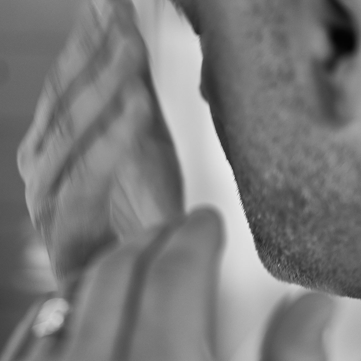 Face & Aftershave Balm 'For Heroes'